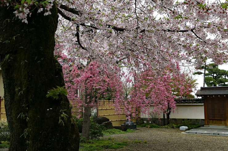 a0120949_10205526.jpg