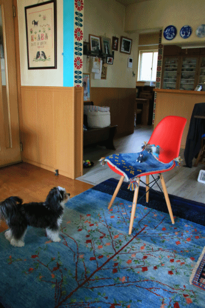 c0145250_10531122.gif