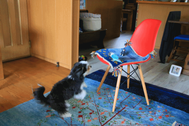 c0145250_10544137.gif