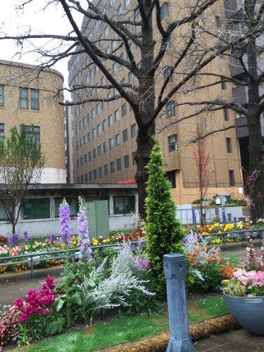 b0307951_23191300.jpg