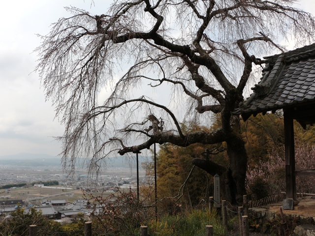 e0017051_8192721.jpg