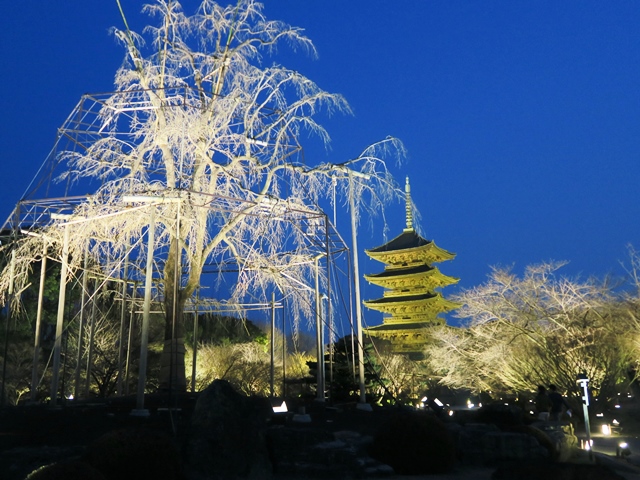 e0017051_891712.jpg