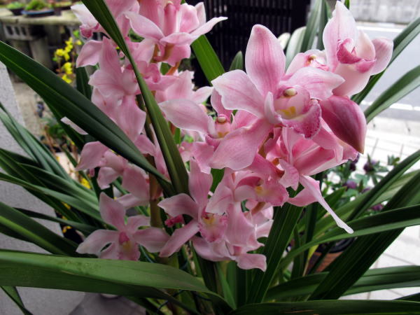c0147952_18181083.jpg