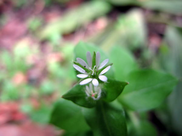 c0147952_18182651.jpg