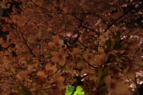 c0354352_23552620.jpg