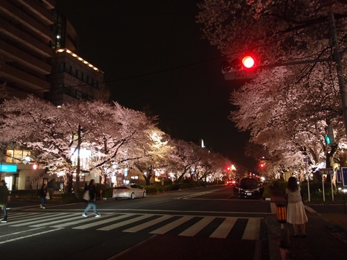 c0354352_23553326.jpg