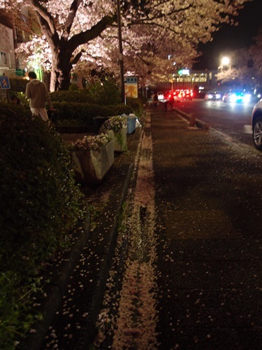 c0354352_23554386.jpg