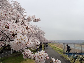 c0001653_08052653.jpg