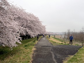 c0001653_08053410.jpg