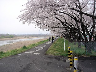 c0001653_08055491.jpg
