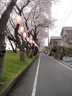 c0001653_08055907.jpg