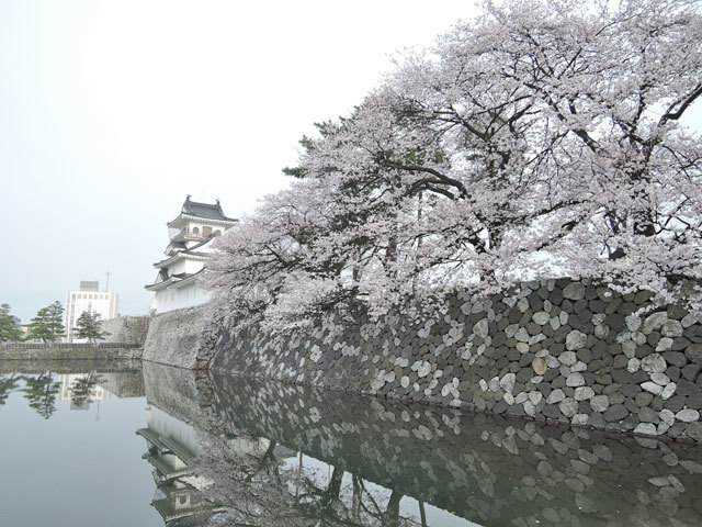 c0116856_21314457.jpg