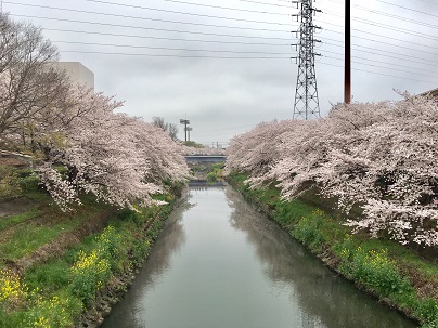 a0313763_12123911.jpg