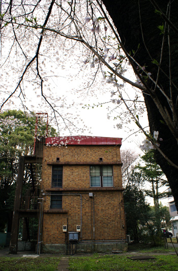 c0201763_12135094.jpg