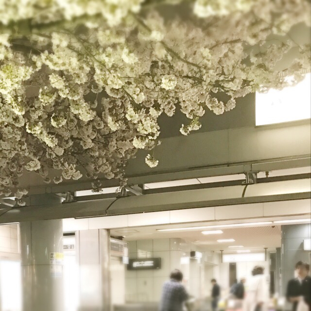 a0259665_01531624.jpg