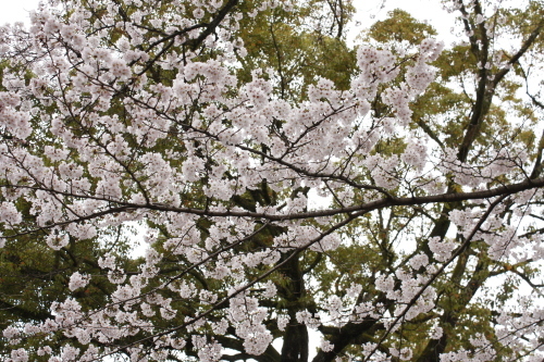 a0023466_17183107.jpg