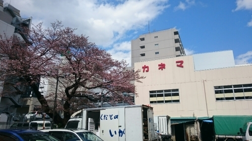 b0124466_06283388.jpg