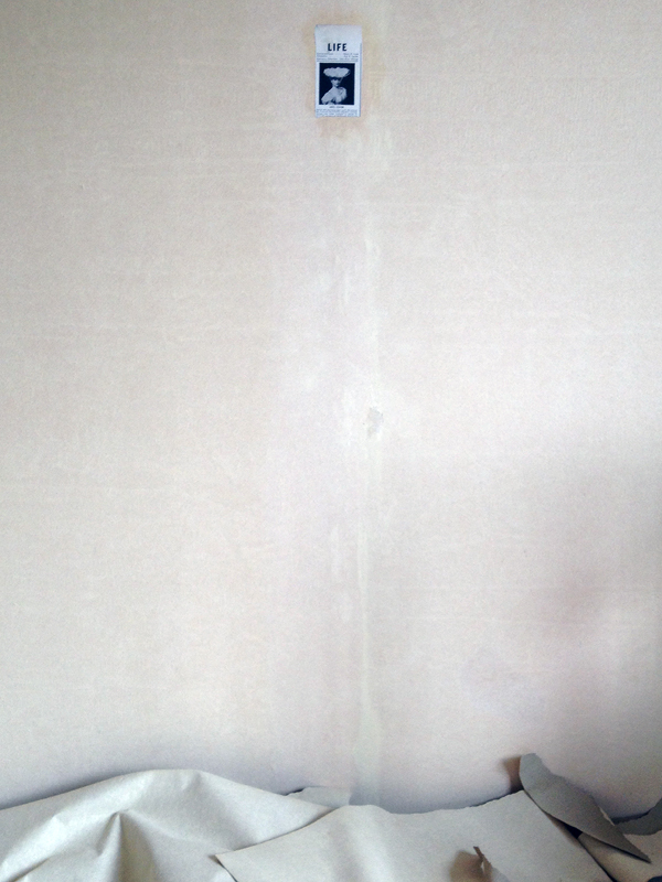 b0052471_21513269.jpg