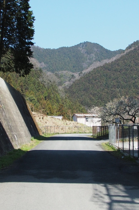 e0307372_15322527.jpg