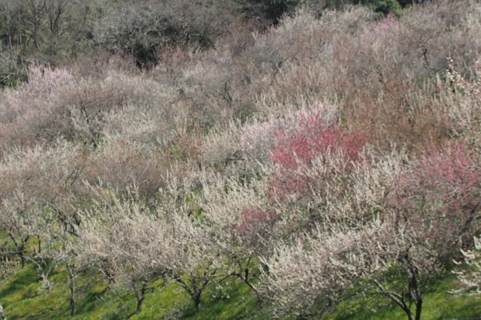 e0307372_17364076.jpg