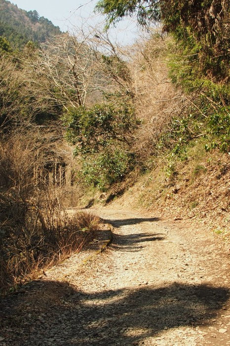e0307372_22225663.jpg