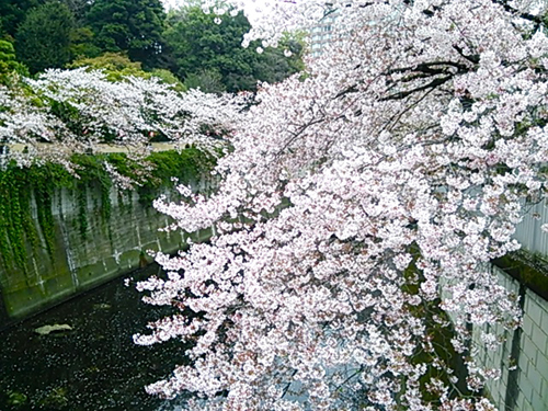 f0000673_045358.jpg