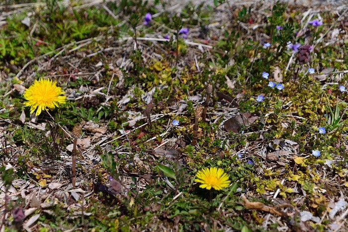 d0341880_10271292.jpg