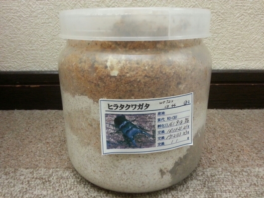 f0183484_00210047.jpg