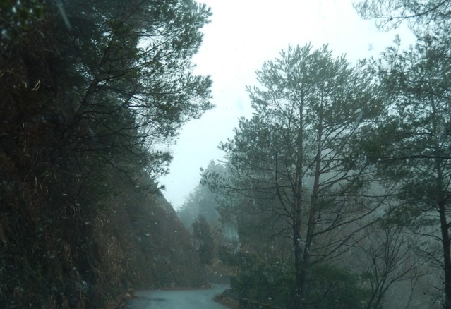 c0144185_0123814.jpg