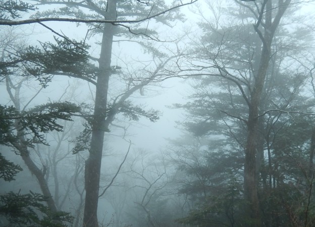 c0144185_075872.jpg