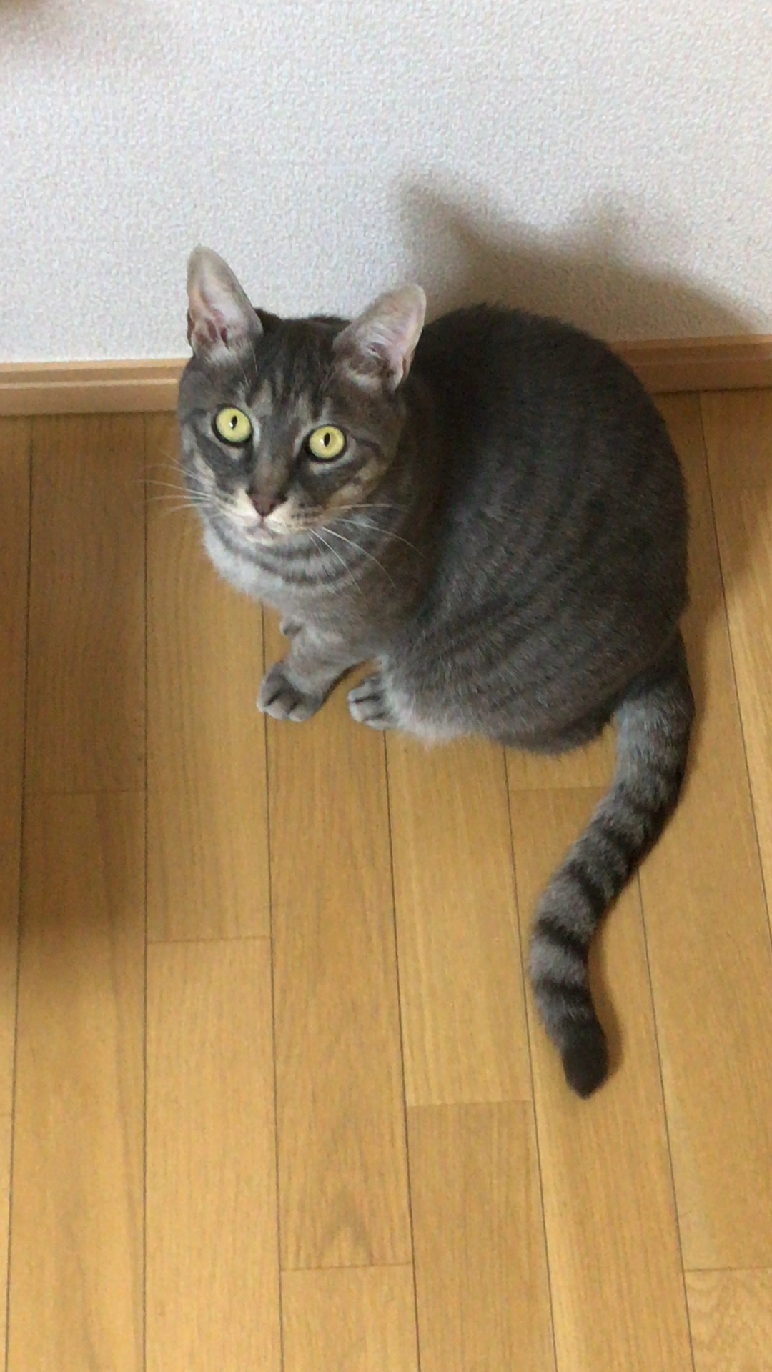 c0340786_13341409.jpg