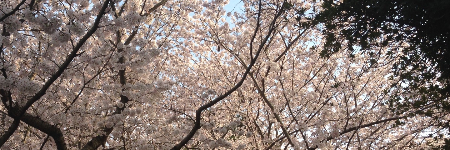 c0170789_17203089.jpg