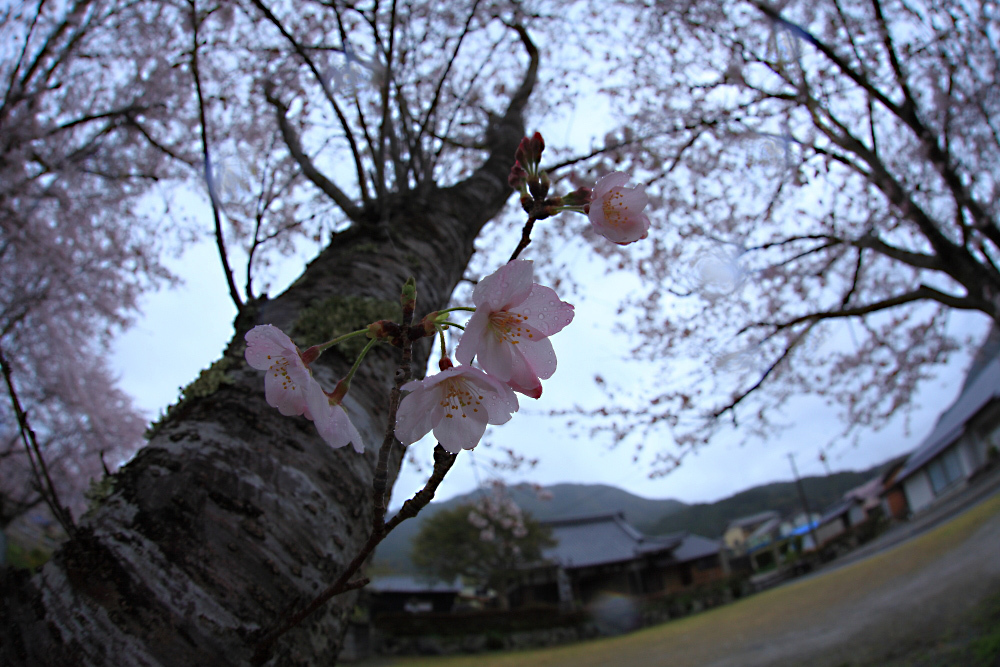 c0032494_21115337.jpg