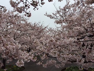 e0027496_10412181.jpg
