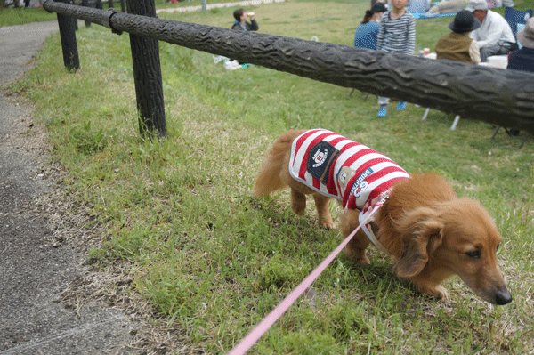 b0290297_15362560.gif