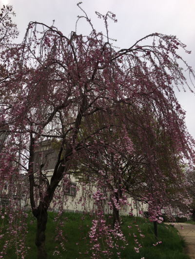 b0160300_22541369.jpg