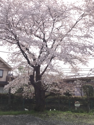 b0195100_19525758.jpg
