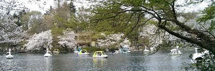 d0051601_23174911.jpg