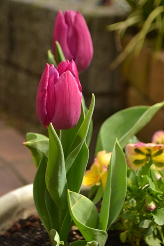 a0240403_10433156.jpg