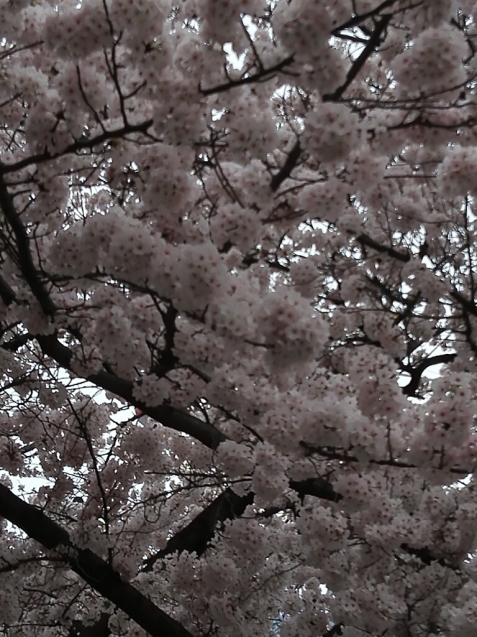 e0359403_14580135.jpg