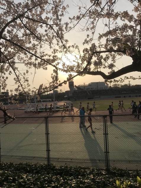 f0250403_19314999.jpg