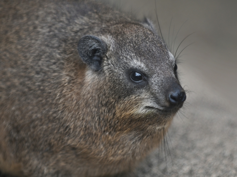 a0164204_12105257.jpg