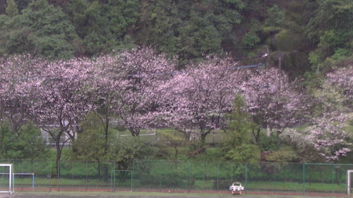 f0164104_1152159.jpg