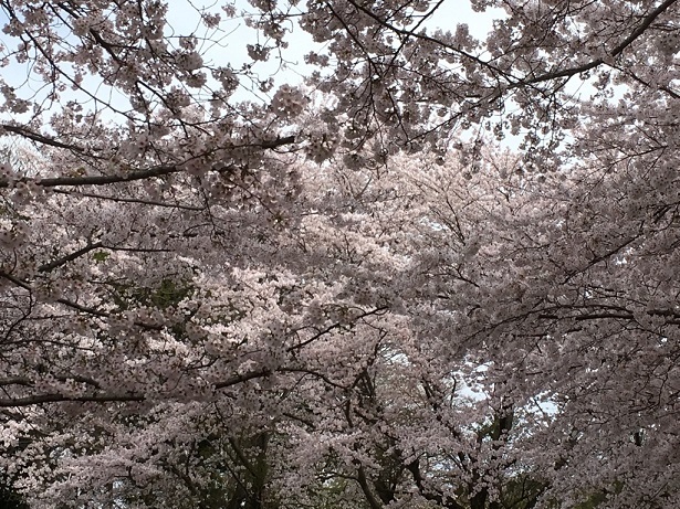 f0162908_21032376.jpg