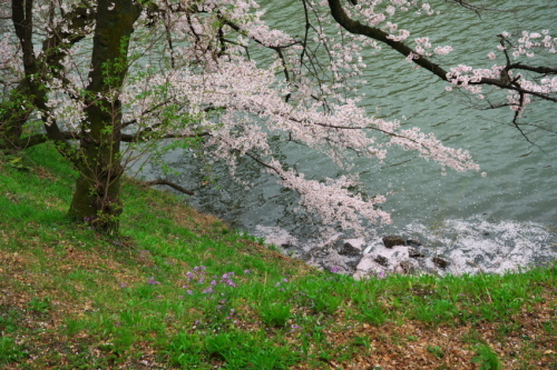 a0263109_20275161.jpg