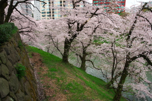 a0263109_20275196.jpg