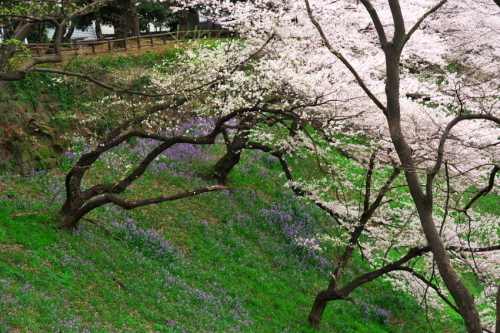 a0263109_20302635.jpg