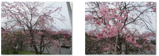 f0231709_012528.png