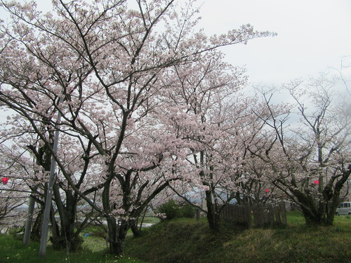 f0231709_0244826.jpg
