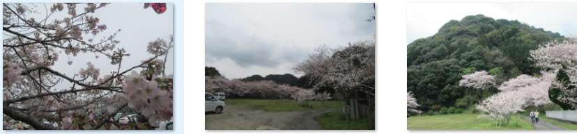 f0231709_0264513.png